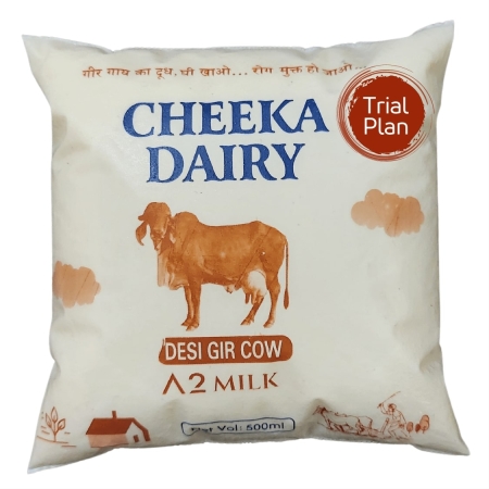 Desi Gir Cow A2 Milk Trial - Cheeka Dairy