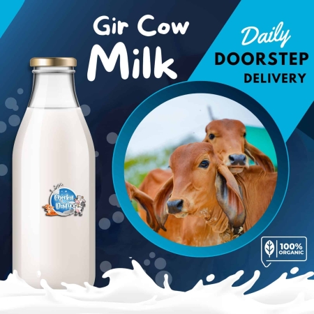 Gir Cow A2 Milk in Navi Mumbai